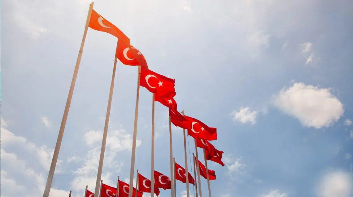 Турецкие флаги. Правила въезда в Турцию