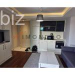 Beyoğlu'nda Kalabalık Bir Daire (İlan No: 10102)