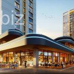 Stylish Apartment in Central Istanbul (Listing No: 3343)
