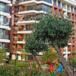 Charming Sea View Apartment in Istanbul (Listing No: 3704)