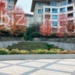Şık 3+1 Daire Sarıyer, İstanbul (İlan No: 4884)