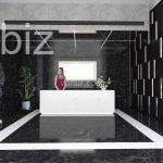Modern Apartment in the Heart of Istanbul (Listing No: 4940)
