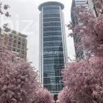 Luxurious Urban Living in Istanbul (Listing No: 4985)