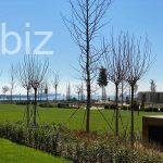 Coastal Apartment in Vibrant Zeytinburnu (Listing No: 5015)