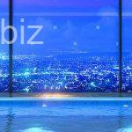 Luxury Apartment in Istanbul (Listing No: 5788)