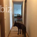 Luxury Apartment in Prestigious Sariyer, Istanbul (Listing No: 5923)