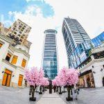 İstanbul’un Kalbinde Muhteşem 4+1 Daire (İlan No: 6006)