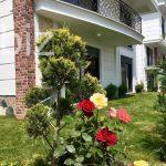 İstanbul’un Kalbinde 3+1 Geniş Daire (İlan No: 6045)