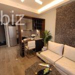 Modern 2+1 Apartment in Istanbul (Listing No: 6120)