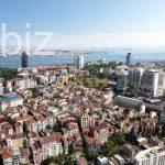 Charming 1+1 Apartment in Vibrant Istanbul (Listing No: 7291)