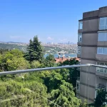 Очаровательная квартира с видом на Босфор в Бешикташе №7626