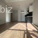 Stylish 1+1 Apartment in the Heart of Istanbul (Listing No: 7685)