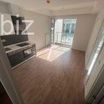 Stylish 1+1 Apartment in the Heart of Istanbul (Listing No: 7685)