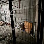 Очаровательная квартира 2+1 в ярком Зейтинбурну, Стамбул №7932