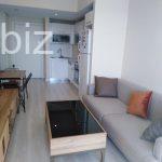 Modern 1+1 Apartment for Sale in Istanbul (Listing No: 7936)