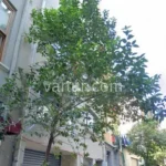 Beyoğlu’nda Büyüleyici Daireler (İlan No: 8117)
