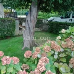 Beykoz, İstanbul’da Deniz Kenarı Daireler (İlan No: 8136)