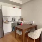 Modern 1+1 Apartment in the Heart of Kâğıthane (Listing No: 8143)