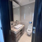 Modern and Spacious Apartment in the Heart of Istanbul (Listing No: 8362)
