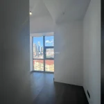 Modern and Spacious Apartment in the Heart of Istanbul (Listing No: 8362)