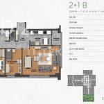 Modern Apartments with Forest Views in Kağıthane, Istanbul (Listing No: 8701)