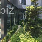 Charming 2+1 Apartment in Heart of Istanbul (Listing No: 9328)