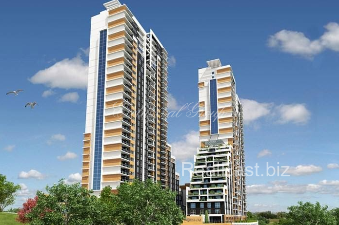 Charming 2+1 Apartment in the Heart of Istanbul