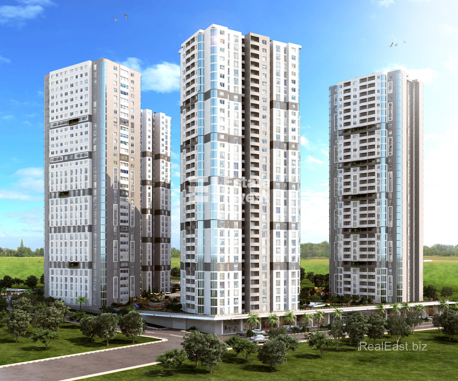 Charming 1+1 Apartment in Vibrant Istanbul