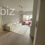 Spacious Family Apartment in the Heart of Istanbul (Listing No: 9736)