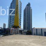 Charming 3+1 Apartment in Istanbul (Listing No: 9829)