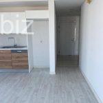 Charming 3+1 Apartment in Istanbul (Listing No: 9829)